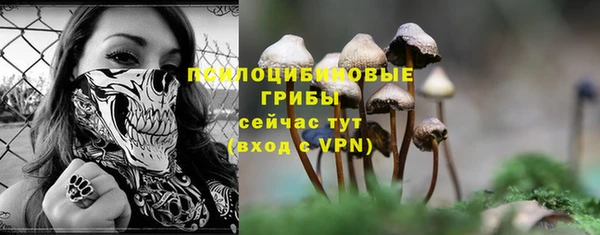 гидра Алексеевка