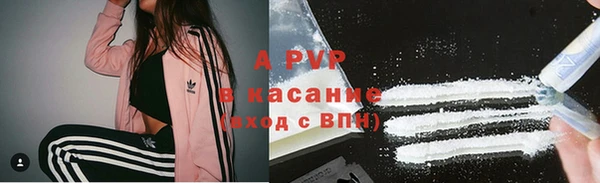 стафф Алзамай