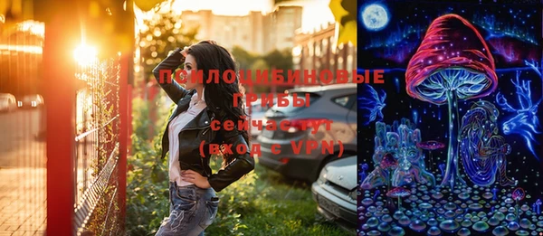 стафф Алзамай