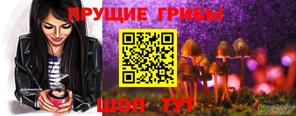 Псилоцибиновые грибы Psilocybe Лобня