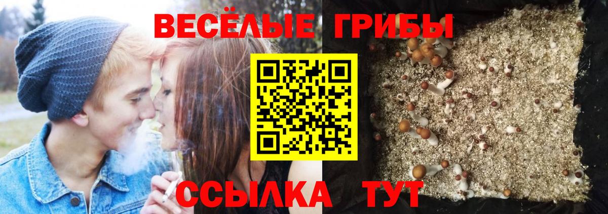 Лобня  Псилоцибиновые грибы Magic Shrooms  Вход с VPN 